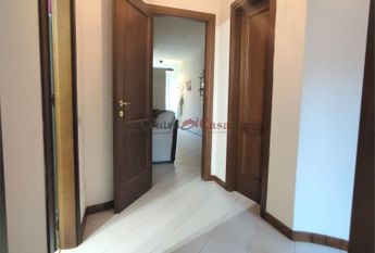 Grazioso tricolare in contesto di corte.