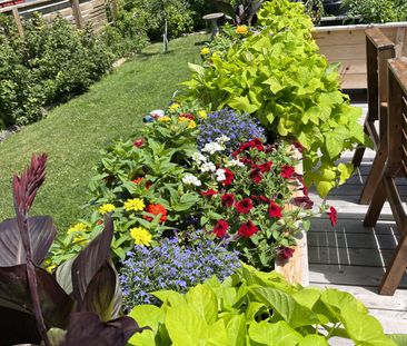 For Lease - 1 Clark Street, Collingwood, Ontario - Photo 4