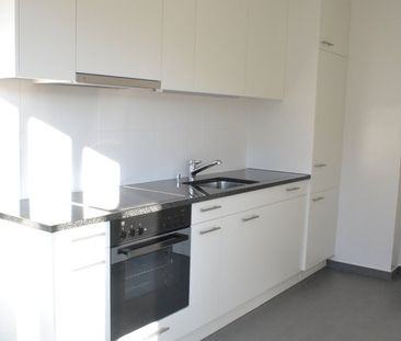 Proche des organisations internationales - Photo 1