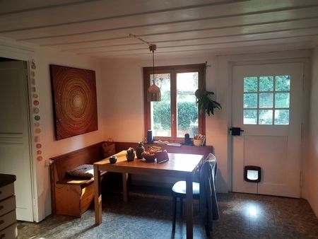 3 ZI-WOHNUNG IN NIEDERSCHERLI (BE), MÖBLIERT, TEMPORÄR - Foto 3