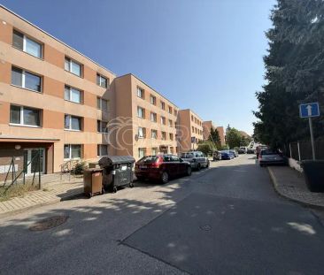 Pronájem bytu 1+1 se sklepní kójí a možností užívání zahrady u domu - Photo 6