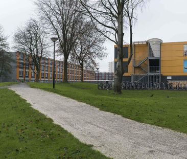 Dennenrodepad 665, Amsterdam Zuidoost - Appartement étudiant à louer - Foto 6