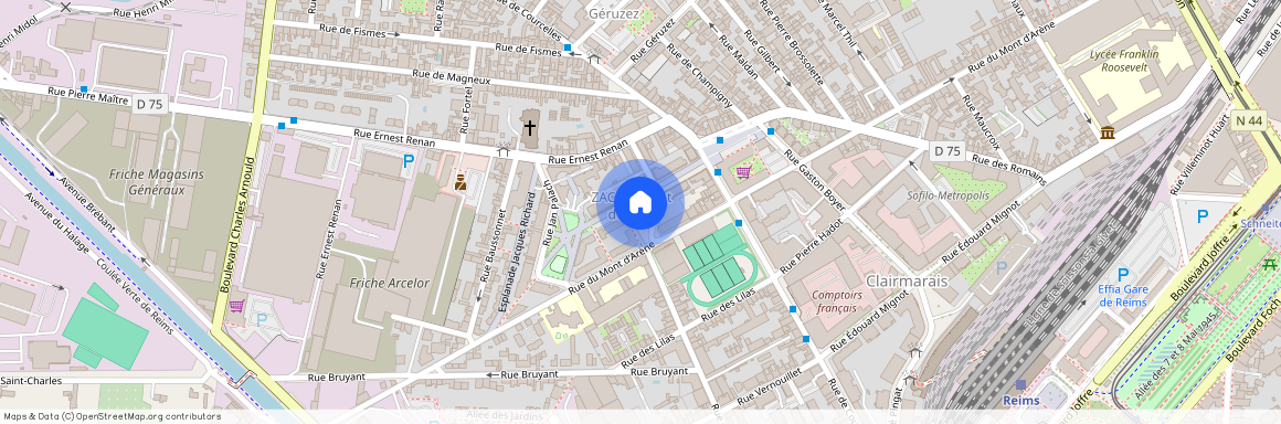 124 RUE DU MONT D'ARENE, 51100, Reims