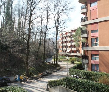 Luminoso appartamento di 2.5 locali immerso nel verde! - Foto 4