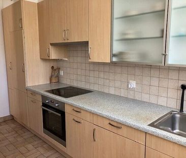 Villa de 6 pièces à louer au Grand-Saconnex - Photo 2