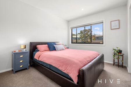 26/45 Negus Crescent, Watson ACT 2602 - Townhouse For Rent | Domain - Photo 4