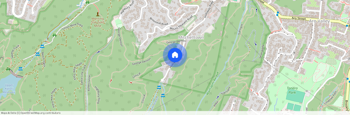 94 Holloway Road, Aro Valley, Wellington