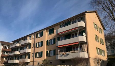 Zentrale Wohnung in Männedorf (Befristet bis 31.03.2029) - Photo 4