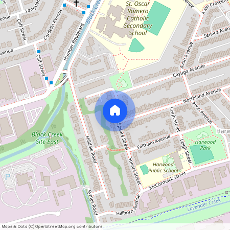 132 Spears Street Unit# Main Floor, Toronto