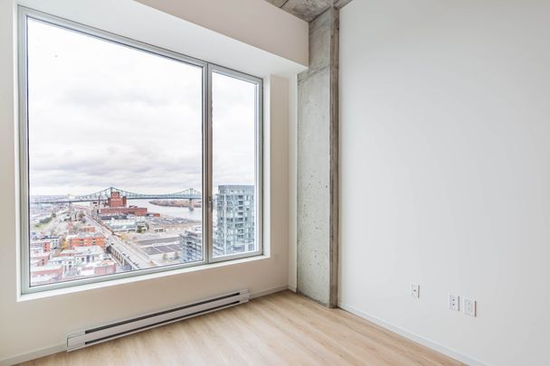 Rue St-Hubert, H2Y 0B9, Montréal - Photo 1