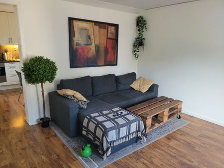Gamla byvägen, Immeln - Foto 3
