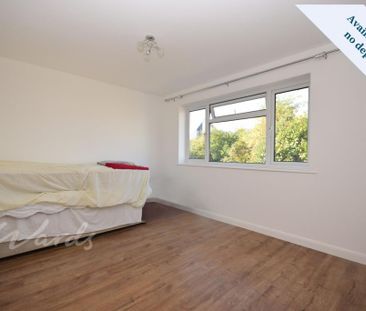 2 bedroom detached bungalow to rent - Photo 4