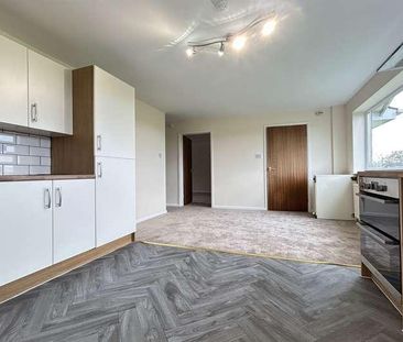 The Bungalow, Water End Lane, Old Basing, Basingstoke, RG24 - Photo 4