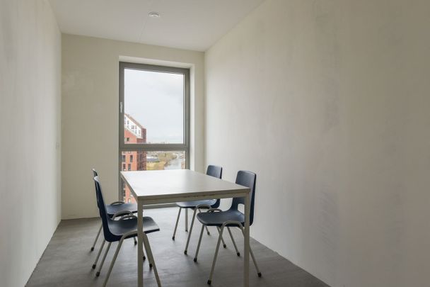 Appartement te huur: Friesestraatweg 141-38 9743 AA Groningen - Foto 1