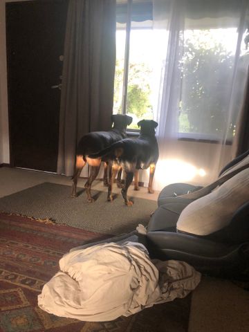 Cranbourne - Photo 5