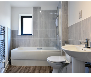 Limes Walk - Photo 1