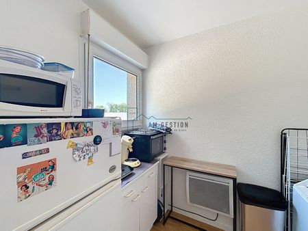 Location Appartement 1 pièce 26m² - Photo 3