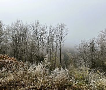 6 TOPSANIERTE ERBEZÜGE AM SEMMERING - Photo 6