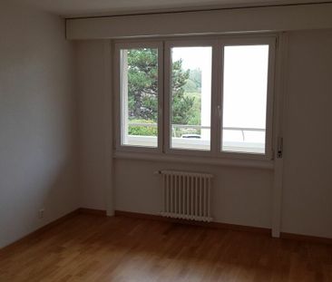 Bel appartement de 3.5 pièces dans quartier calme proche du lac ! - Photo 5