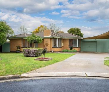 544 Colleen Place, Lavington - Photo 5