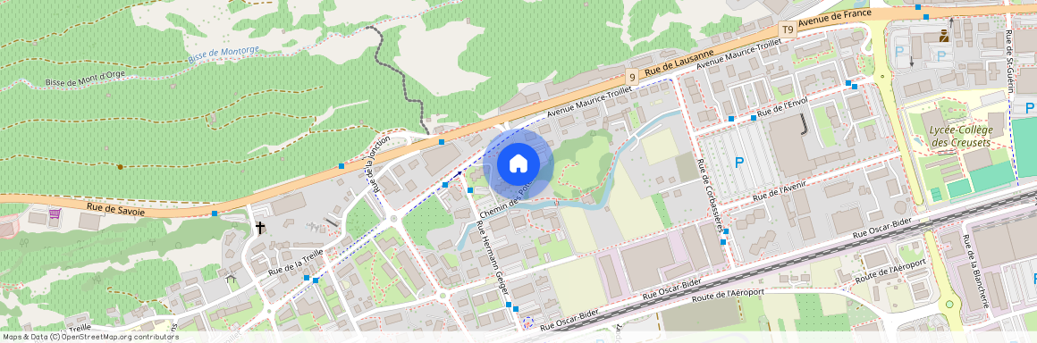 1950, Sion, Rue Hermann Geiger, 5