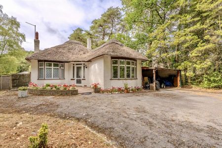 2 bedroom detached bungalow to rent - Photo 3