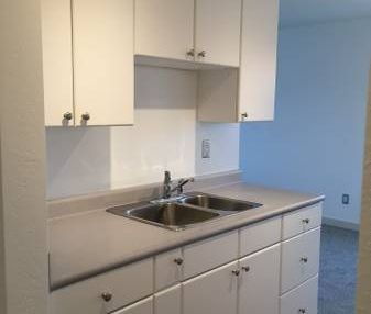 Spacious 1 BR Across From Crystal Pool Available Nov 15th or Dec 1st - Photo 3