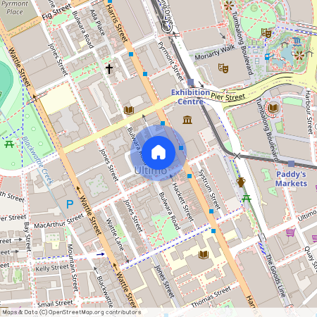 57 Hackett Street, NSW 2007, Ultimo