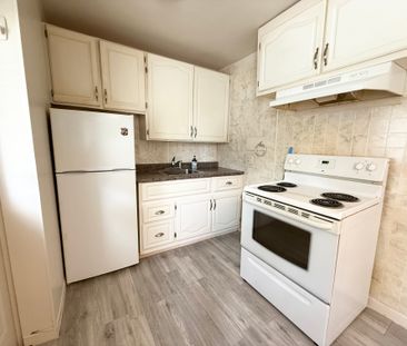 1-Bedroom Bachelor-Style Unit - Photo 3