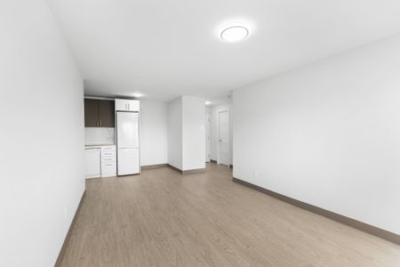 Condo for rent, Montréal (Le Plateau-Mont-Royal) - Photo 4