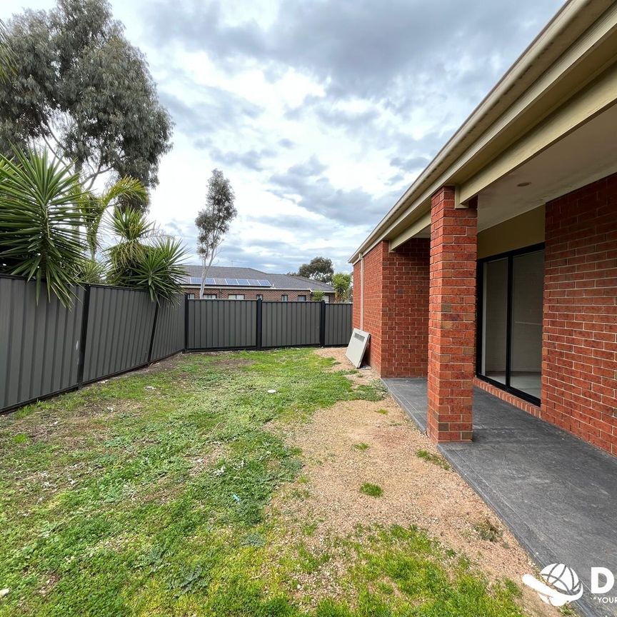 Renovated Comfort, Convenience and Space – 4-Bedroom Gem in Craigieburn - Photo 1
