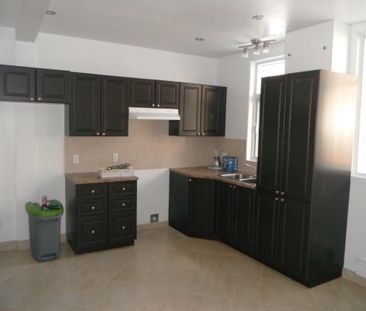 Beau logement près de l petite Italie - Photo 2