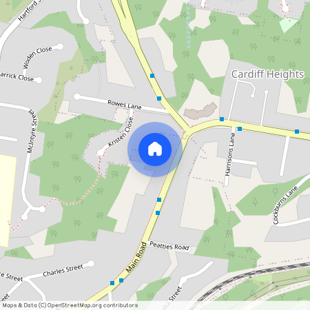 153A Main Road, Cardiff NSW 2285