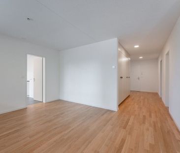 Modern Living - Photo 5