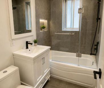 1 CH - 1 SDB - Montréal - $1,455 /mo - Photo 4