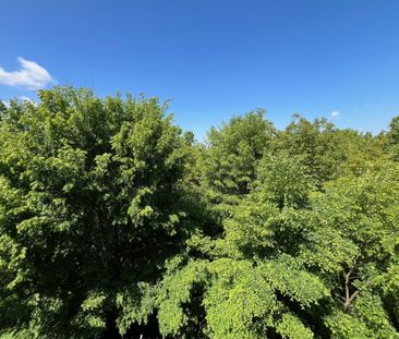 Mieszkanie na wynajem – Kalisz , Ogrodowa - Photo 1