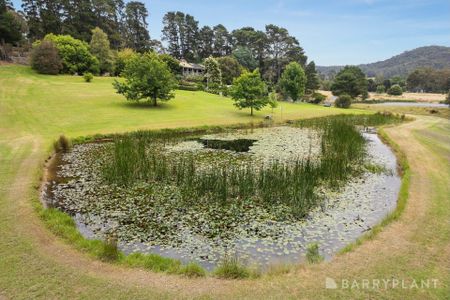 Dixons Creek - Photo 4