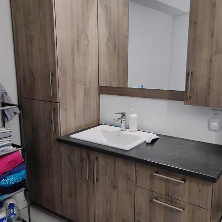 Lévis – Secteur St-Nicolas – Cession de bail – Appartement 2 chambres à louer - Photo 4