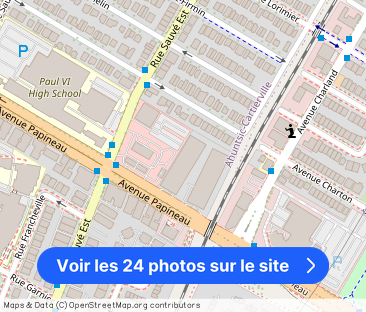 9675 Papineau - Photo 1