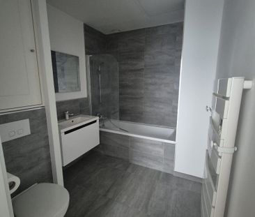 Appartement T2 Lille à louer - Photo 4