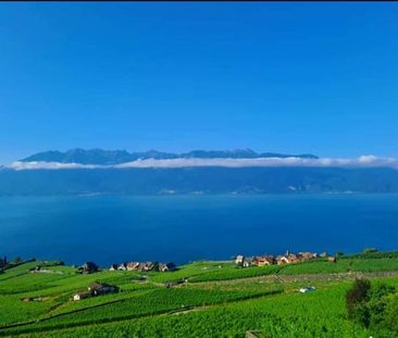 Bel appartement meublé de 3.5 pièces avec vue imprenable sur lac et... - Foto 4