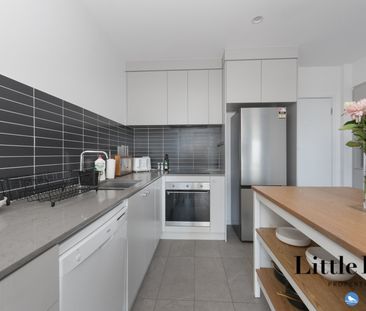 13b Negus Crescent, Watson ACT 2602 - Townhouse For Rent | Domain - Photo 2