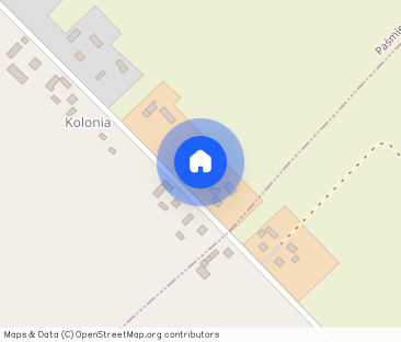 Dom do wynajęcia - Photo 1