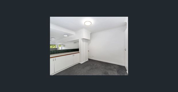 Spacious Loft Style Apartment - Leafy Skyline Views - Photo 1