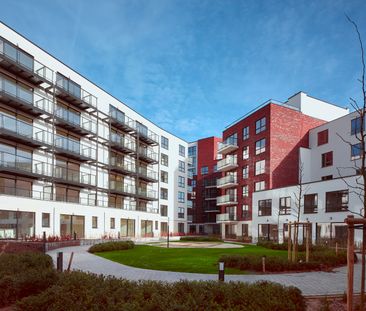 Directly with the owner - Apartment 1 bedroom - Photo 6