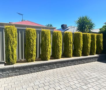 Modern Low Maintenance 3 Bedroom Home – Perfect for the Family! - Photo 2