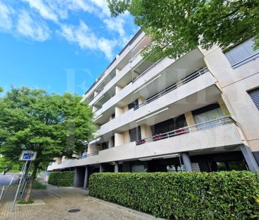 Very nice 4-room apartment near the International Organizations - Photo 4