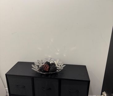 For Lease - Basement room ETHERIDGE Avenue, Milton, Ontario - Photo 4