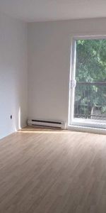 POINTE AUX TREMBRES 4 1/2 LIBRE 1ER JANVIER 2026 - Photo 3