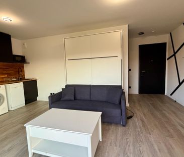 STUDIO FABRON MEUBLE / 26m² + terrasse profonde 16m² - Photo 2